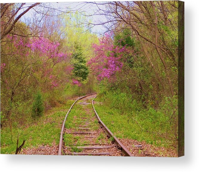 Railroad Acrylic Print featuring the photograph Abandoned #1 by Robert ONeil