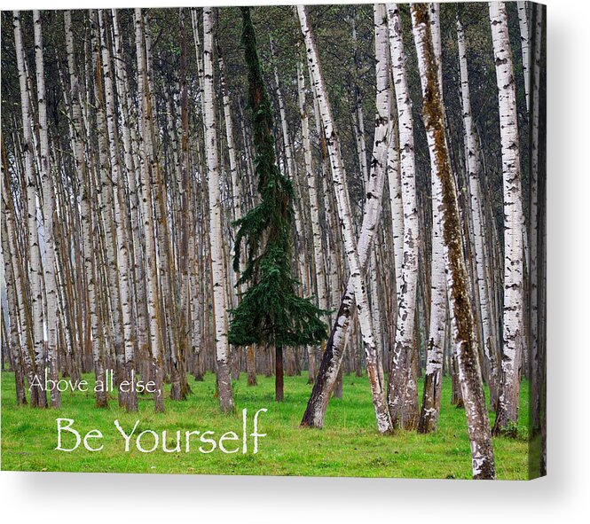 Trees Acrylic Print featuring the photograph Above All Else Be Yourself by Mary Lee Dereske