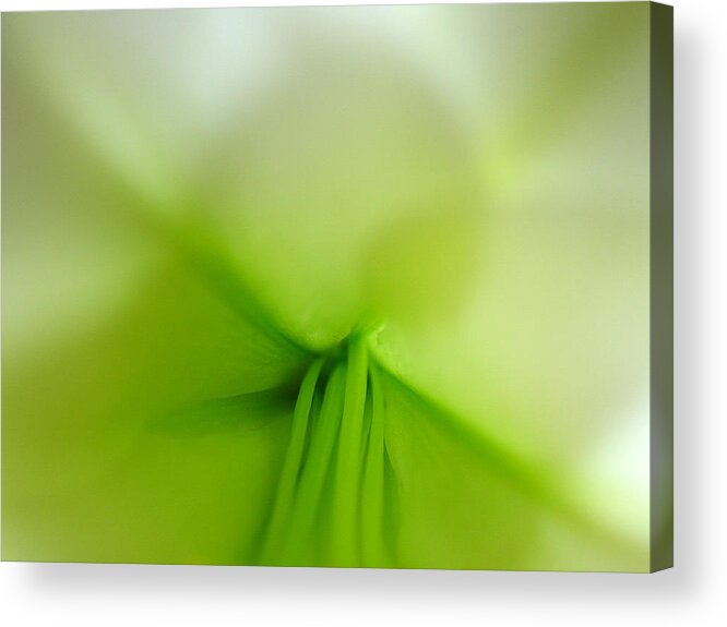 Artwork Acrylic Print featuring the photograph Abstract Forms in Nature by Juergen Roth