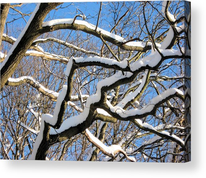 Snow Acrylic Print featuring the photograph After the Snowfall 2 by Dennis Lundell