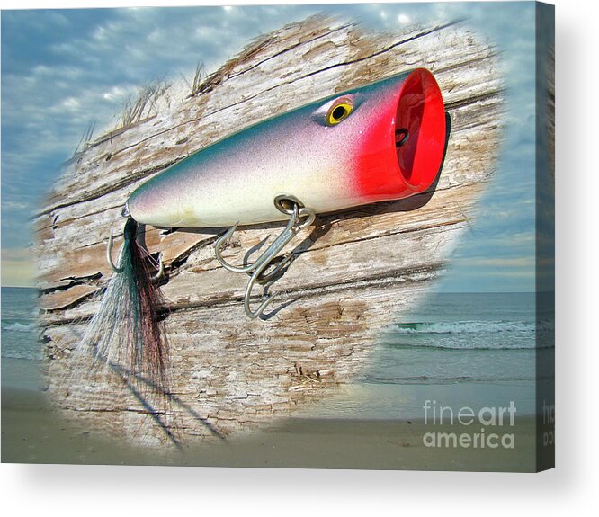 AJS Big Mouth Popper Saltwater Fishing Lure Acrylic Print by Carol