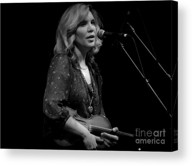 Alison Krause Acrylic Print featuring the photograph Alison by David Rucker