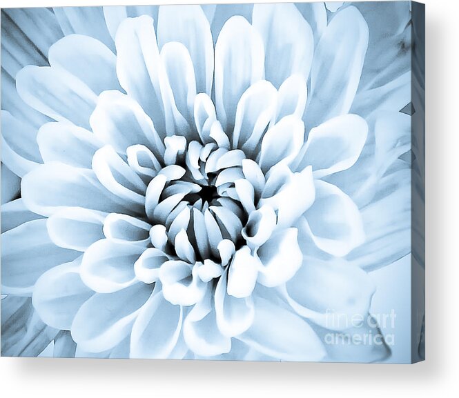 Blue Acrylic Print featuring the digital art Almost Perfect-Blue by Lori Frostad