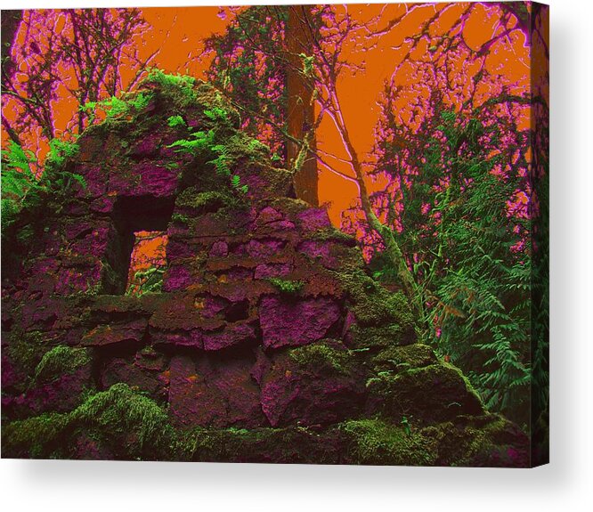 Stone House Acrylic Print featuring the photograph Anarchy's Playhouse by Laureen Murtha Menzl