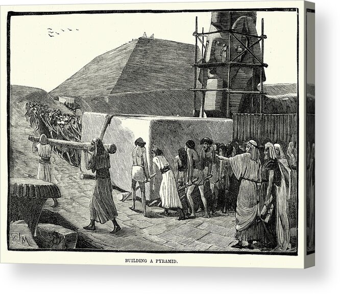 Employment And Labor Acrylic Print featuring the drawing Ancient Egyptians building a Pyramid by Duncan1890