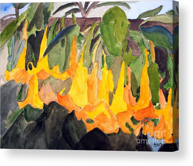 Angel Trumpet Acrylic Print featuring the painting Angel Trumpets by Sandy McIntire
