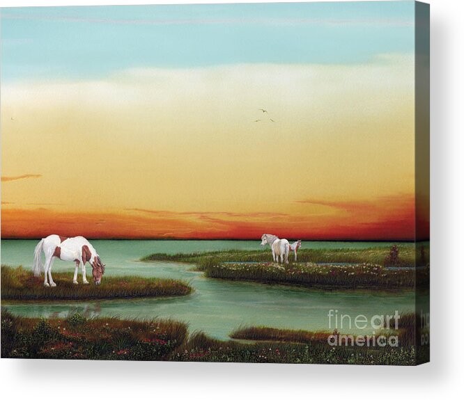 Assateague Wild Horses Acrylic Print featuring the painting Assateague Island Sunset by Albert Puskaric