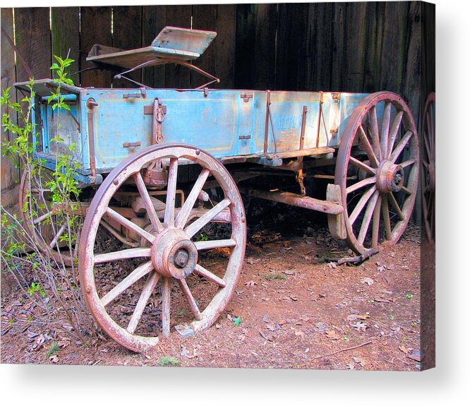 Agriculture Acrylic Print featuring the photograph At Rest by Lora Fisher
