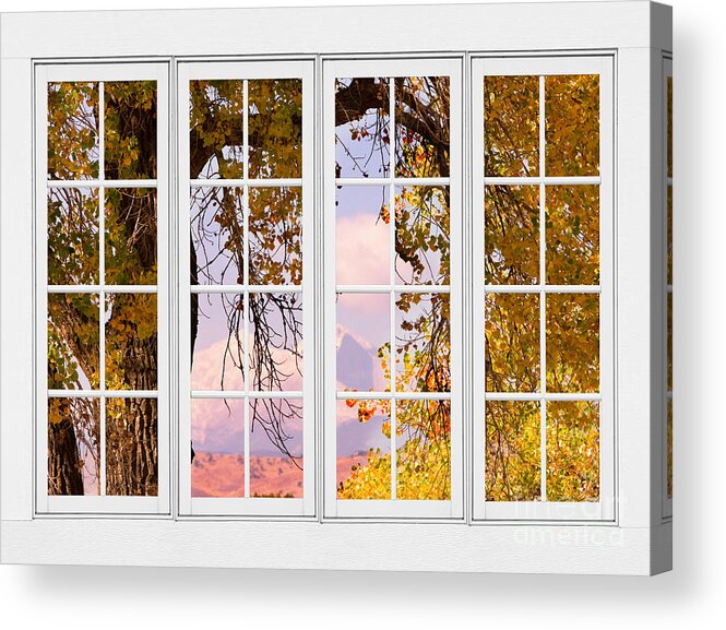 Window Acrylic Print featuring the photograph Autumn Cottonwood Tree Longs Peak White Window View by James BO Insogna