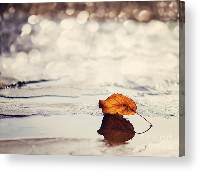 Autumn Acrylic Print featuring the photograph Autumn by Diana Kraleva