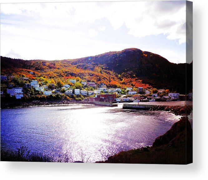 Autumn Acrylic Print featuring the photograph Autumn In Harbor Grace by Zinvolle Art