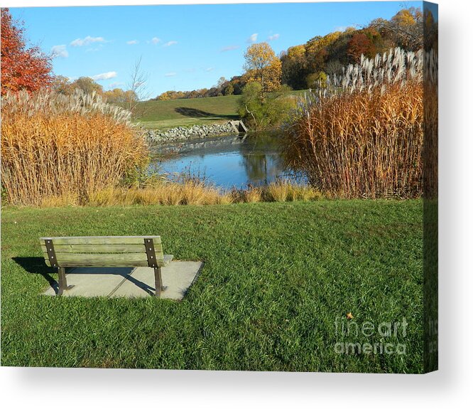 Autumn Photographs Acrylic Print featuring the photograph Autumn In The Park by Emmy Vickers