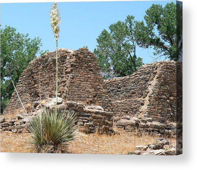 Aztec Ruins National Monument Acrylic Print featuring the photograph Aztec Ruins National Monument by Laurel Powell