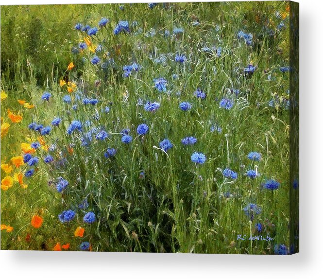 Landscape Acrylic Print featuring the painting Bachelor's Meadow by RC DeWinter