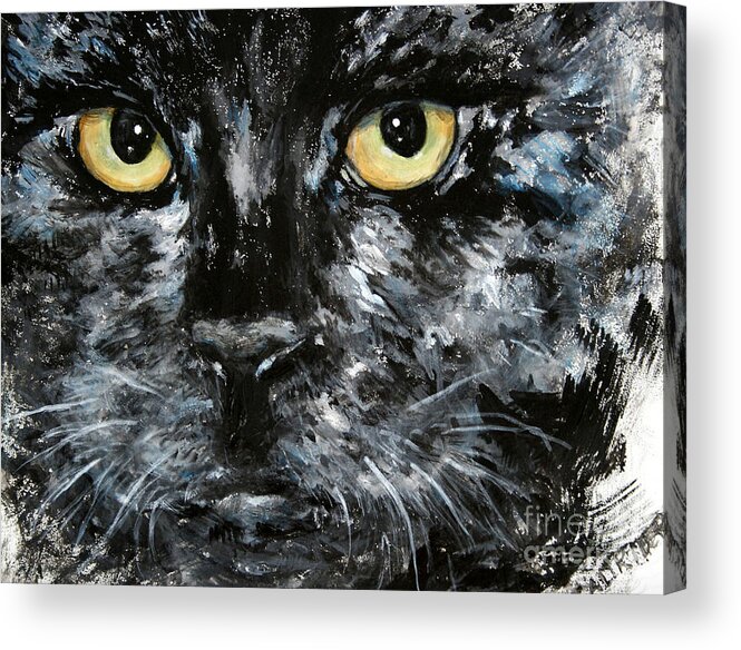 Cat Acrylic Print featuring the painting Bad Malcolm by Alison Caltrider