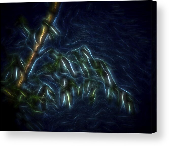 Bamboo Acrylic Print featuring the digital art Bamboo Wind 2 by William Horden