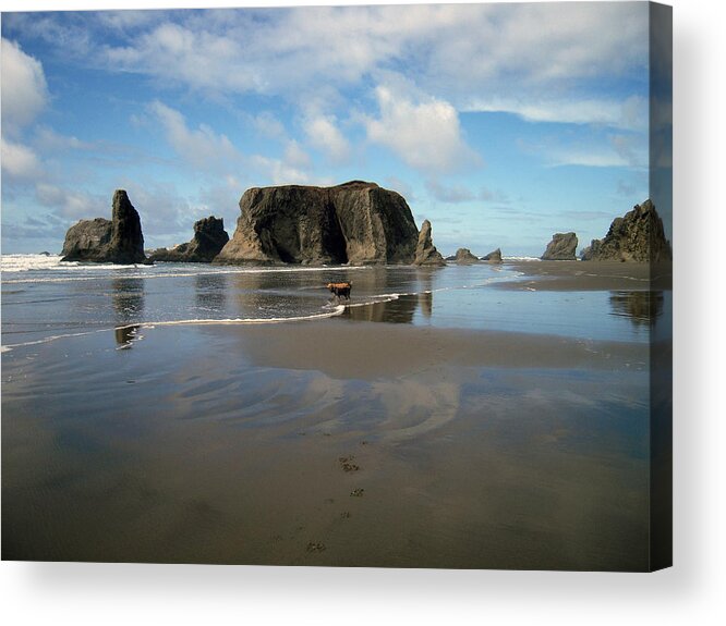 Bandon Acrylic Print featuring the photograph Bandon Beach by Michele Avanti