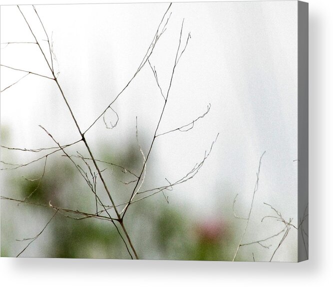 Tree Acrylic Print featuring the photograph Barest Branches by Kimberly Mackowski