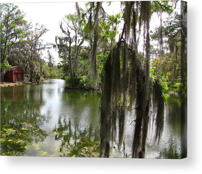 Bayou Acrylic Print featuring the photograph Bayou by Beth Vincent