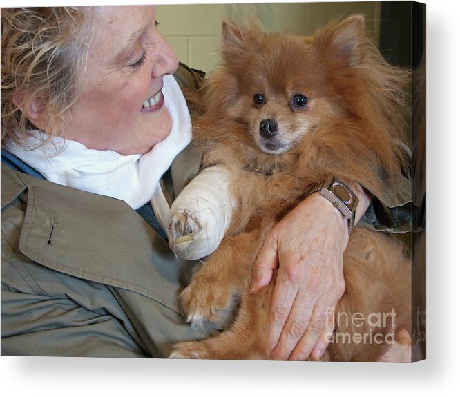 Dog Acrylic Print featuring the photograph Be Better Soon by Ann Horn