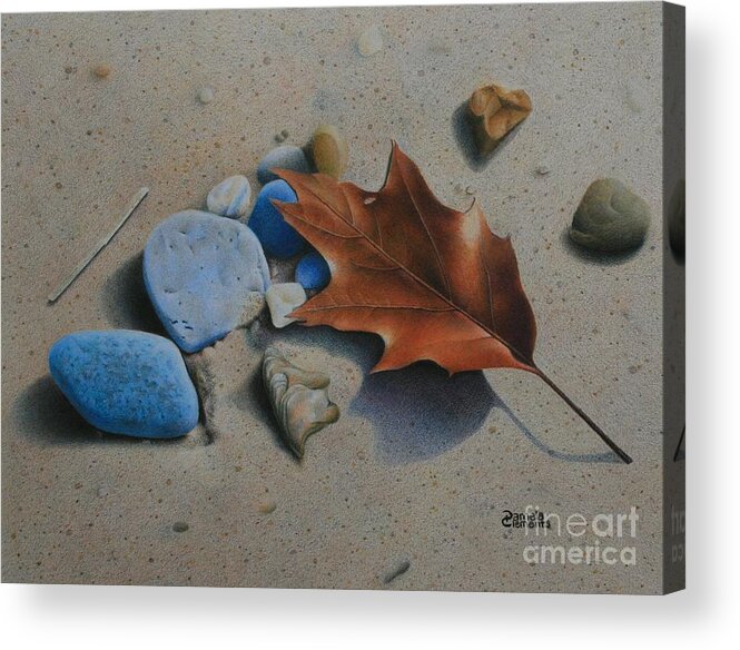 Beach Acrylic Print featuring the drawing Beached II by Pamela Clements
