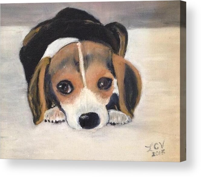 Beagle Rescue Acrylic Print featuring the painting Beagle Resting by Lucille Valentino