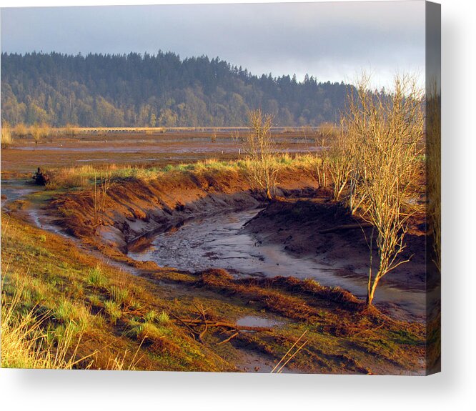 Water Acrylic Print featuring the photograph Beauty revealed at low tide by I'ina Van Lawick