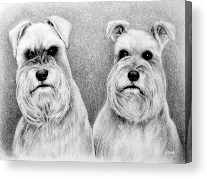 Dogs Acrylic Print featuring the digital art Billy and Misty by Andrew Read