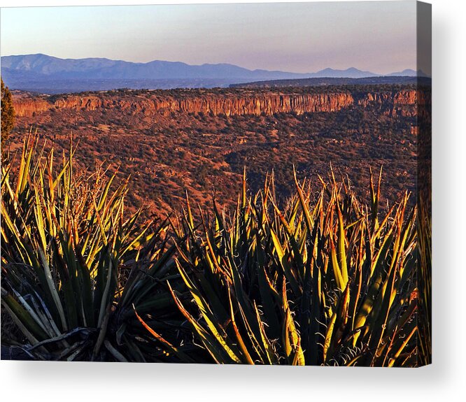 New Mexico Acrylic Print featuring the photograph Birds Eye View by Tom DiFrancesca