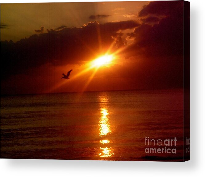 Seagull Acrylic Print featuring the photograph Blood Red Sunset by Carla Carson