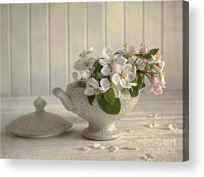 Apple Acrylic Print featuring the photograph Blossoms on porcelain vase by Sandra Cunningham