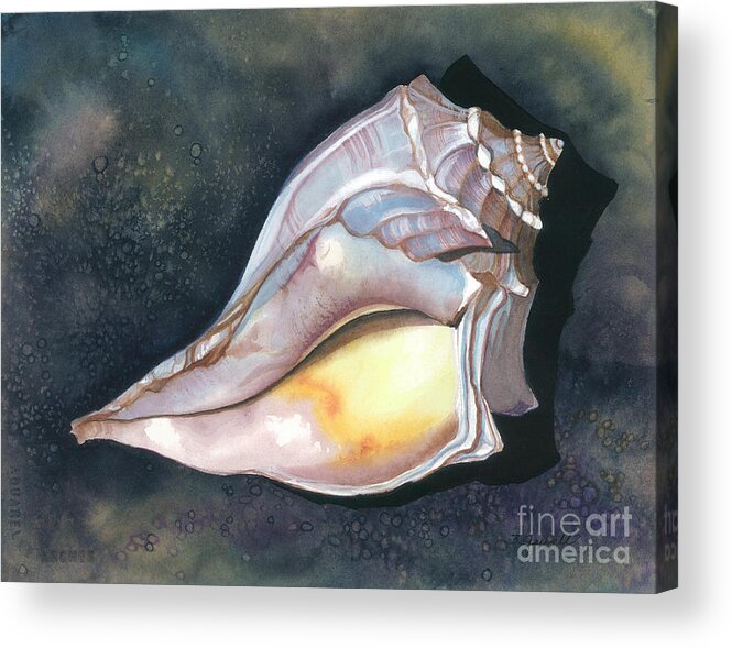 Shell Acrylic Print featuring the painting Blue-knobbed Whelk by Barbara Jewell