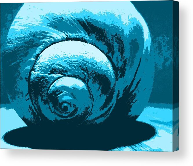 Blue Acrylic Print featuring the photograph Blue Shell - Sea - Ocean by Susan Carella
