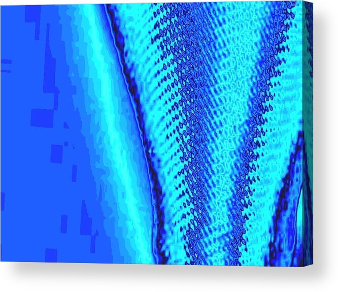 Digitally Acrylic Print featuring the digital art Blue Swatch by Mary Russell