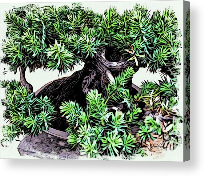 Pine Bonsai Tree Acrylic Print featuring the painting Bonsai Pine Tree by Joan Reese