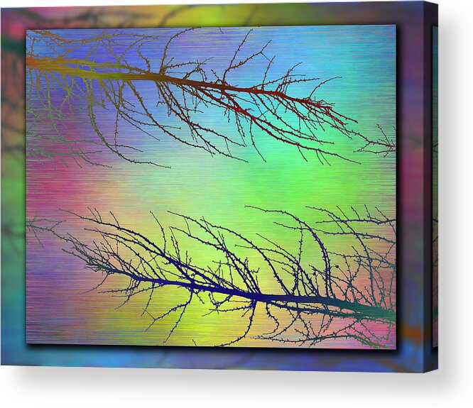 Abstract Acrylic Print featuring the digital art Branches In The Mist 97 by Tim Allen