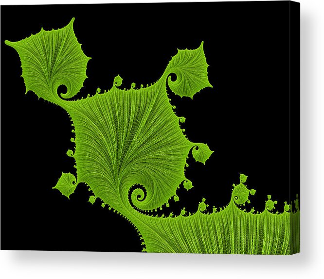 Green Acrylic Print featuring the digital art Bright green fractal leaves black background by Matthias Hauser