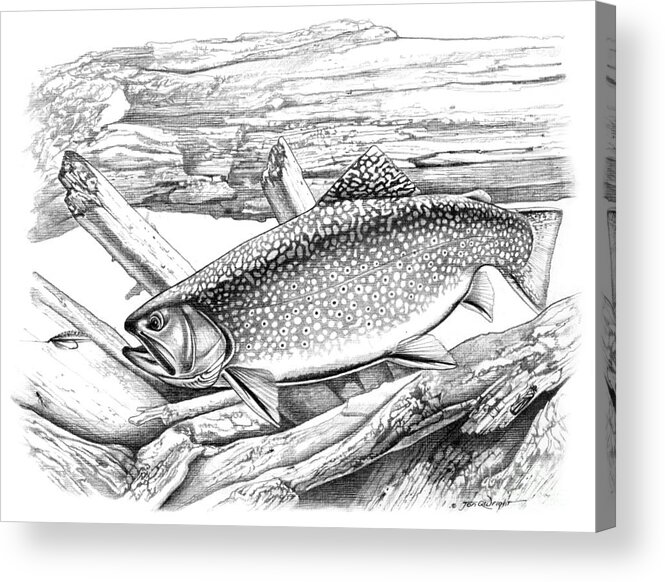 Jon Q Wright Acrylic Print featuring the painting Brook Trout and Fly by JQ Licensing