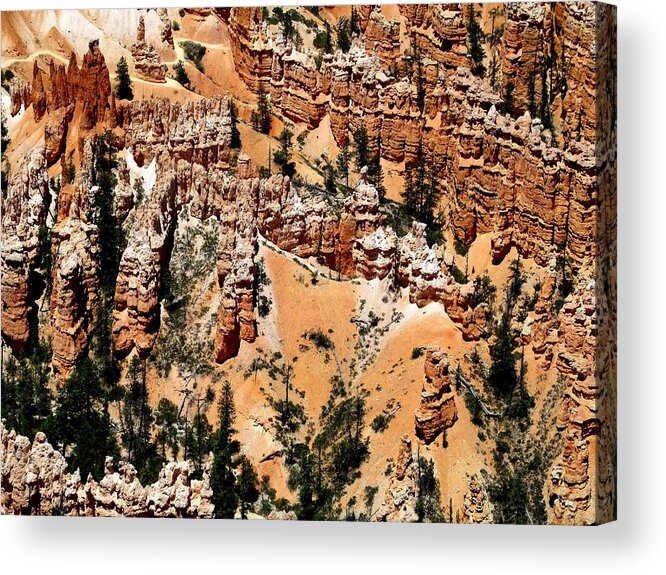 Bryce Canyon Acrylic Print featuring the photograph Bryce Canyon 291 by Maria Huntley