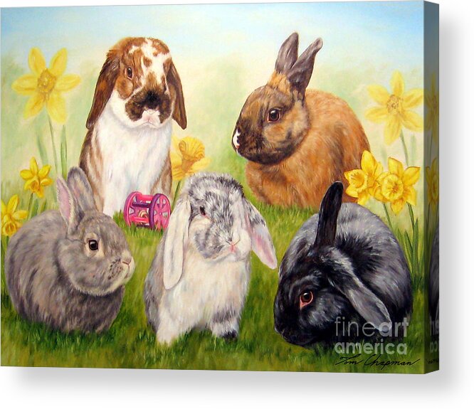 Bunnies Acrylic Print featuring the painting Bunnies and Daffodils by Tom Chapman