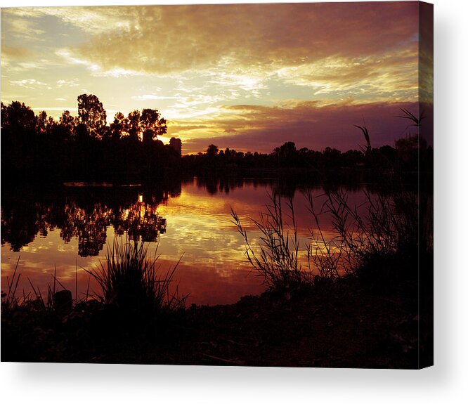 Sunset Acrylic Print featuring the photograph Burning skies by Meir Ezrachi