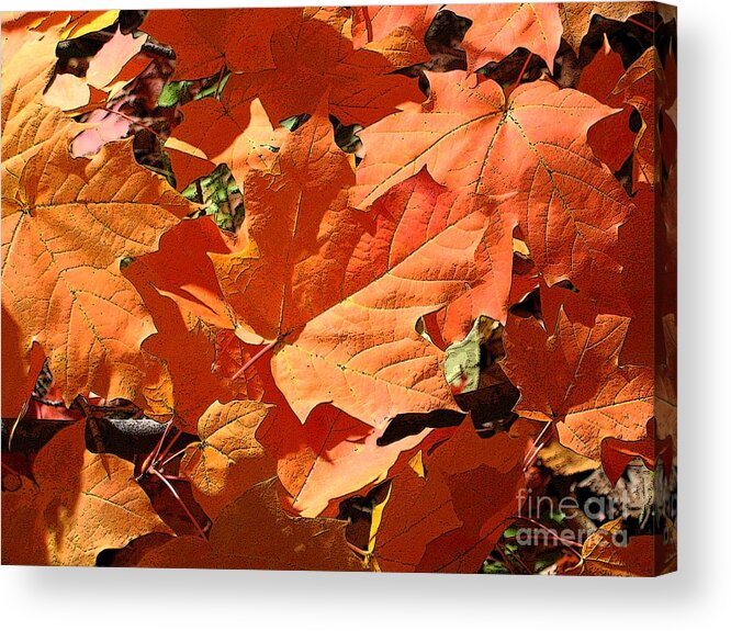 Autumn Acrylic Print featuring the photograph Burnt Orange by Ann Horn