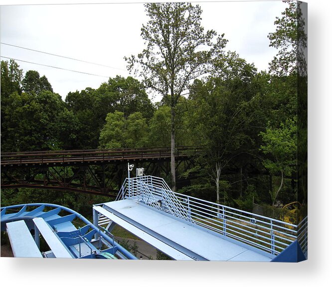 Busch Acrylic Print featuring the photograph Busch Gardens - 121211 by DC Photographer