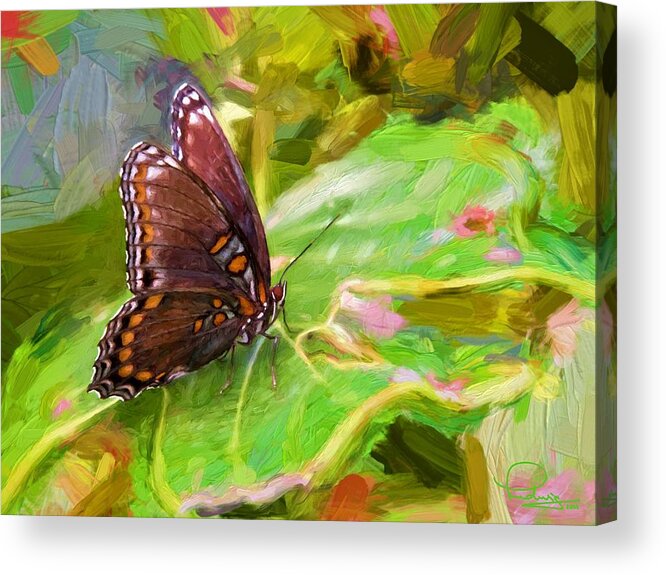 Butterfly Acrylic Print featuring the photograph Butterfly - Red-Spotted Purple by Ludwig Keck