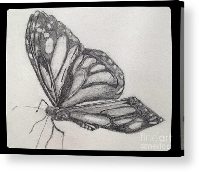  Acrylic Print featuring the drawing Butterfly by Valerie Shaffer