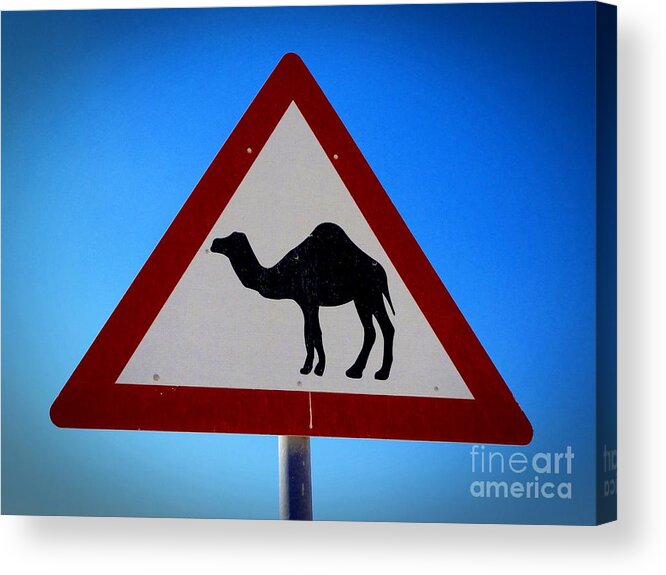 Camel Acrylic Print featuring the photograph Camel Warning Road Sign by Henry Kowalski