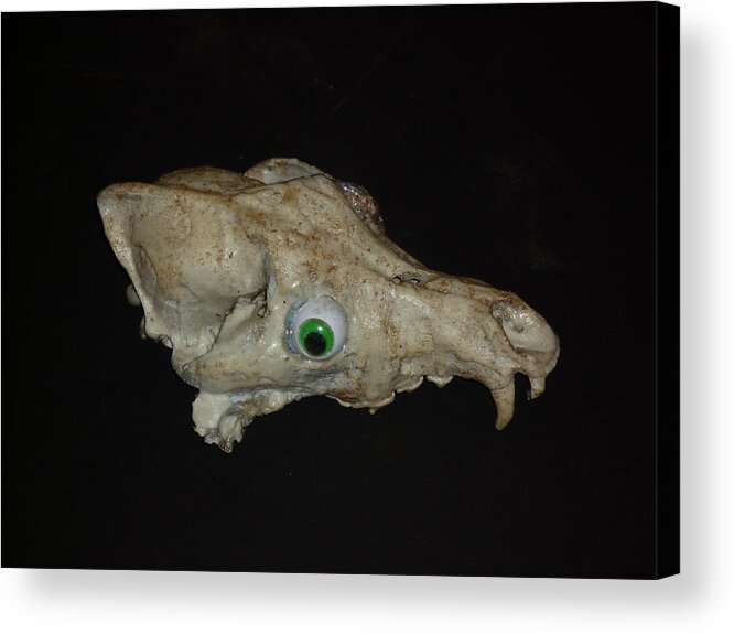 Skull Acrylic Print featuring the sculpture Canine FunkaSaurus by Douglas Fromm