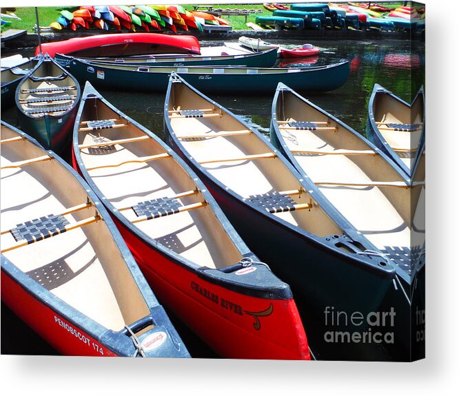 Canoes And Kayaks On The Charles River Acrylic Print featuring the photograph Canoes And Kayaks On The Charles River by Paddy Shaffer