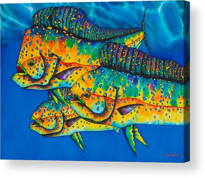 Mahi Mahi Acrylic Print featuring the painting Caribbean Mahi Mahi - Dorado Fish by Daniel Jean-Baptiste