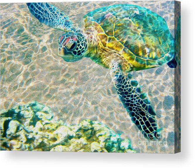 Caribbean Sea Turtle Acrylic Print featuring the mixed media Beautiful Sea Turtle by Jon Neidert